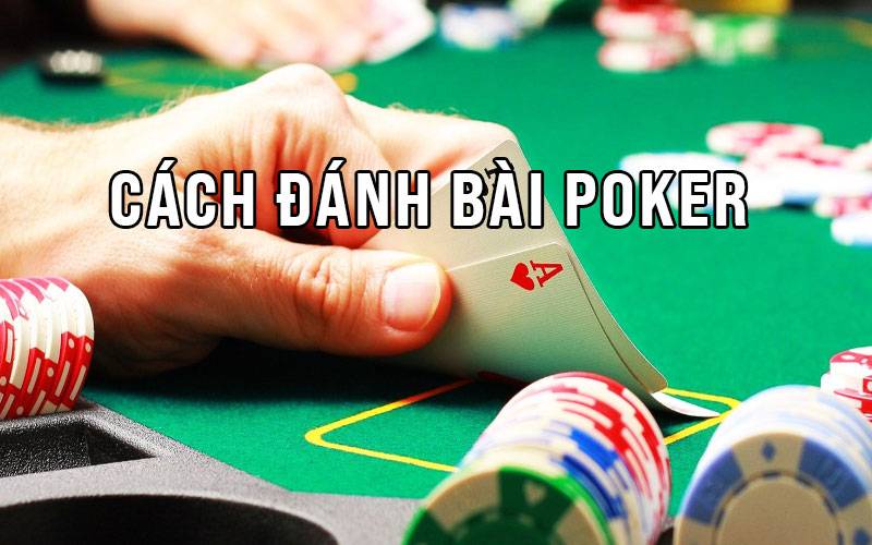 Cách đánh bài poker chuẩn xác nhất