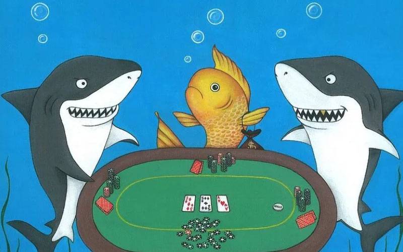 Vậy Site poker nào vừa uy tín nhất và nhiều fish kiếm ăn?