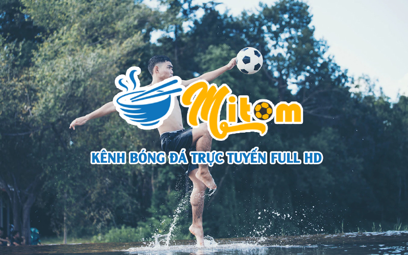 Mitom TV - Ăn mì tôm xem bóng đá trực tiếp miễn phí!